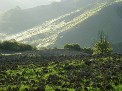 Cours de photographie 2009:  campagna toscana