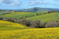 villa palagionegione impressioni (10)