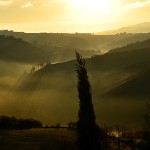 villa palagionegione impressioni (5)