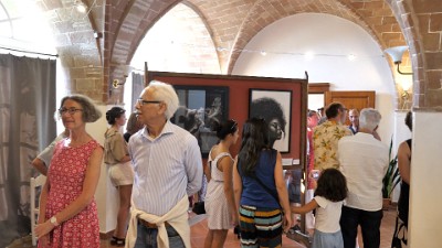 Esposizione  collettiva"Arte in Movimento Val di Cecina" (7)