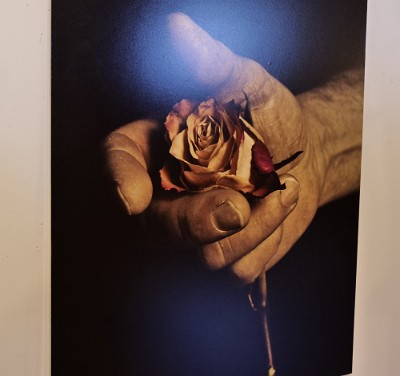 Francesca Bianchi - Photographer