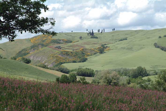 Paysage de la campagne  autour de  Villa Palagione